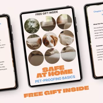 Pet-Proof Your Home: Room-by-Room Safety for Dogs & Cats